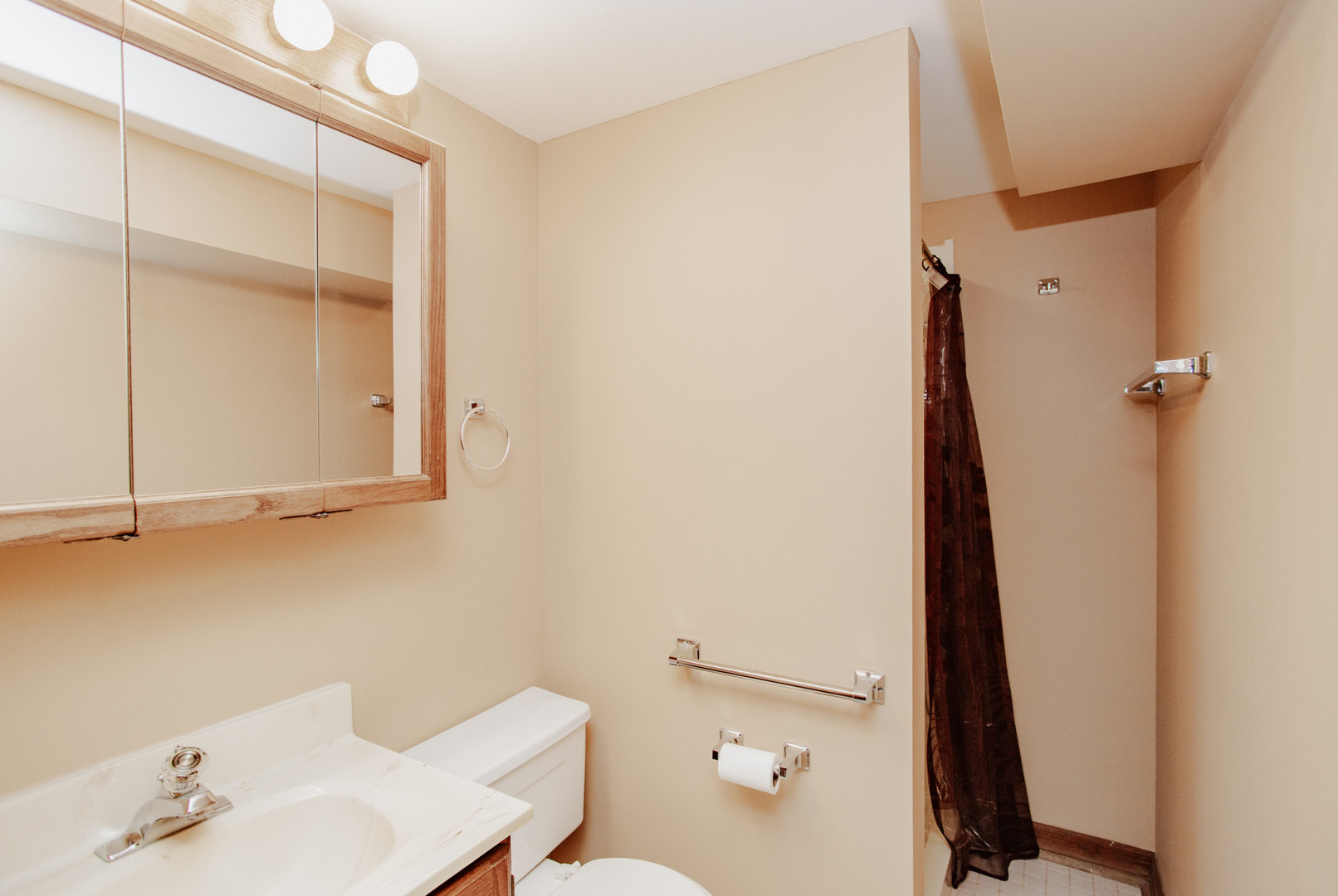 311 Vine Avenue, Unit E Park Ridge, IL 60068 - Photo 18 of 21 a bathroom with a sink a toilet and a mirror