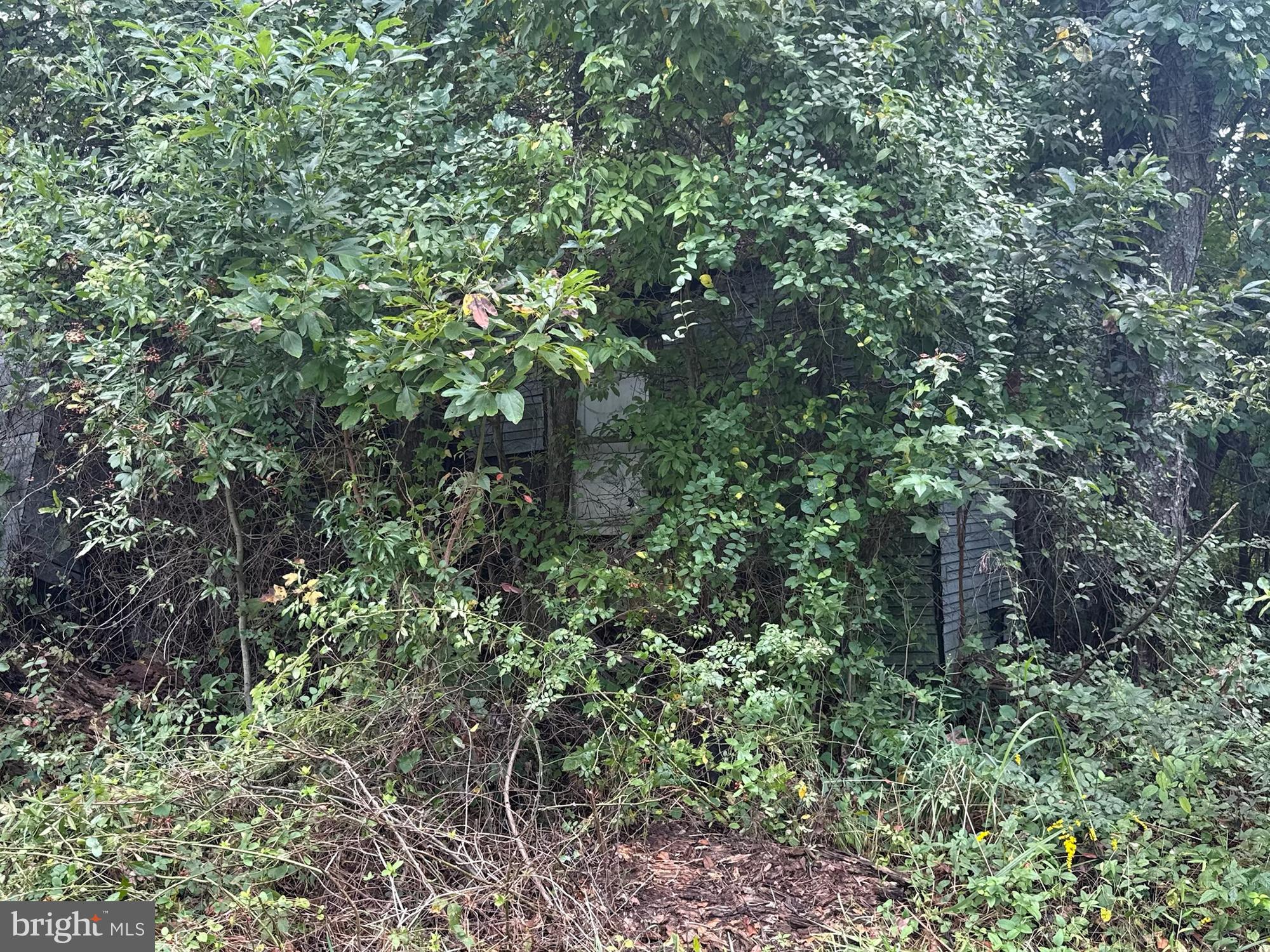 109 2nd Street Chestertown, MD 21620 - Photo 3 of 9