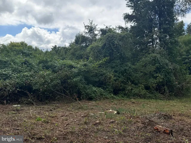 a view of outdoor space and trees