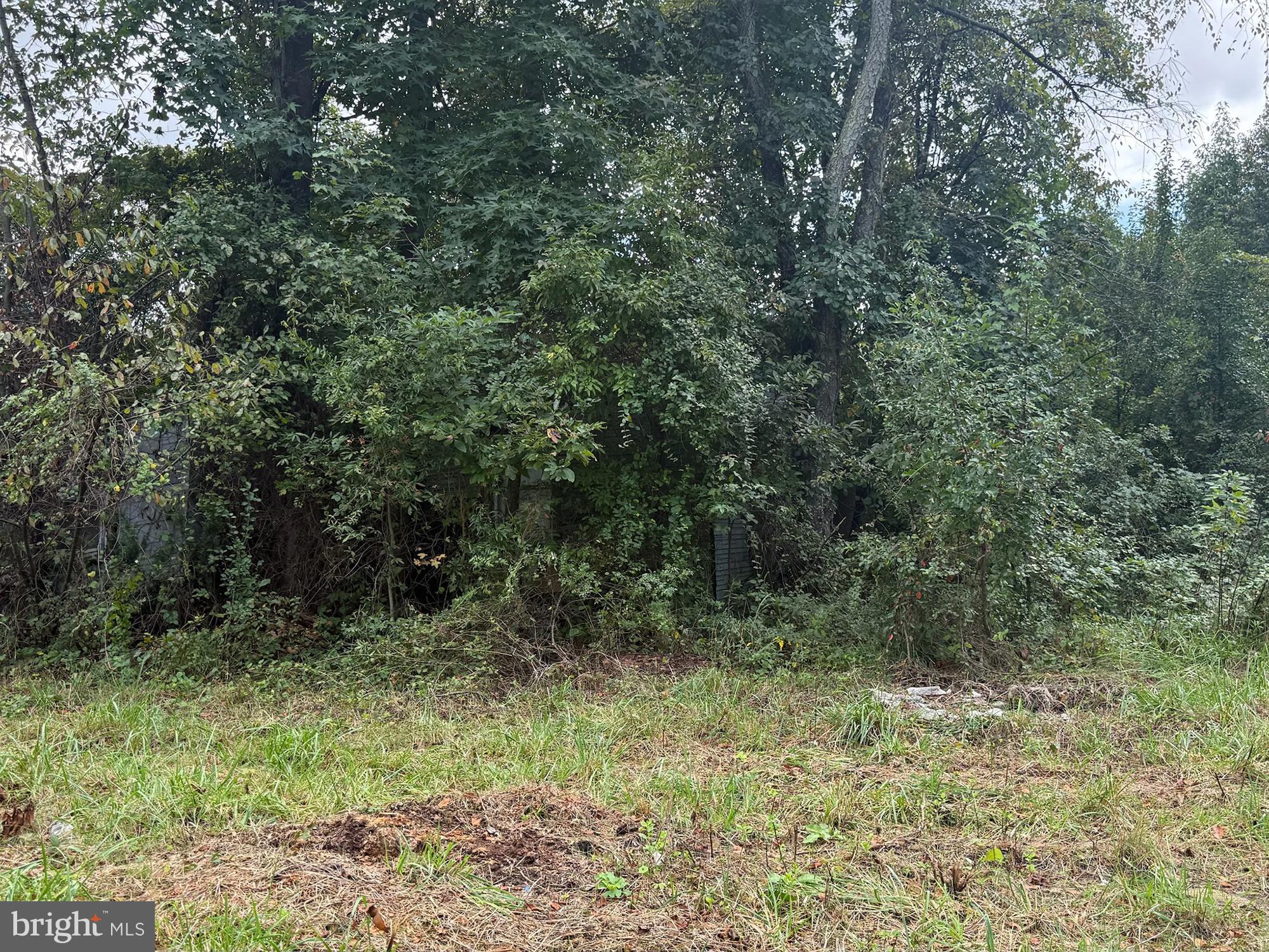 109 2nd Street Chestertown, MD 21620 - Photo 5 of 9 a view of outdoor space and trees