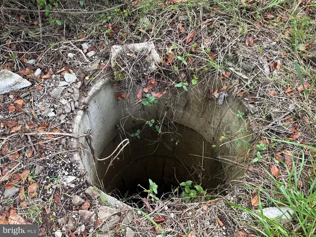 a view of a plants and yard