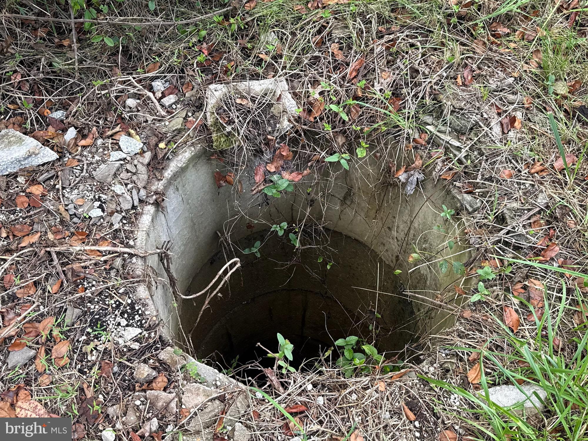 109 2nd Street Chestertown, MD 21620 - Photo 6 of 9 a view of a backyard of the house