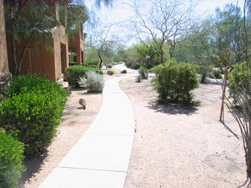 19700 North 76th Street, Unit 1175 Scottsdale, AZ 85255 - Photo 17 of 20 walking paths