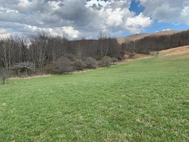 Tbd Big Valley Road Monterey, VA 24465 - Photo 2 of 17 Gallery Image 2