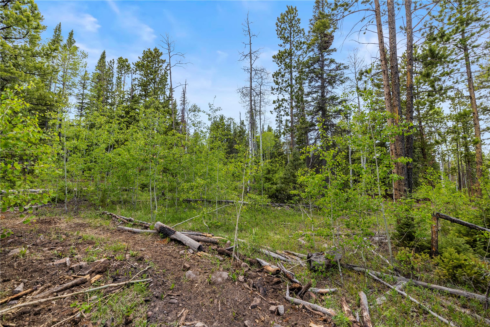 336 Blue Spruce Road Silverthorne, CO 80498 - Photo 5 of 28