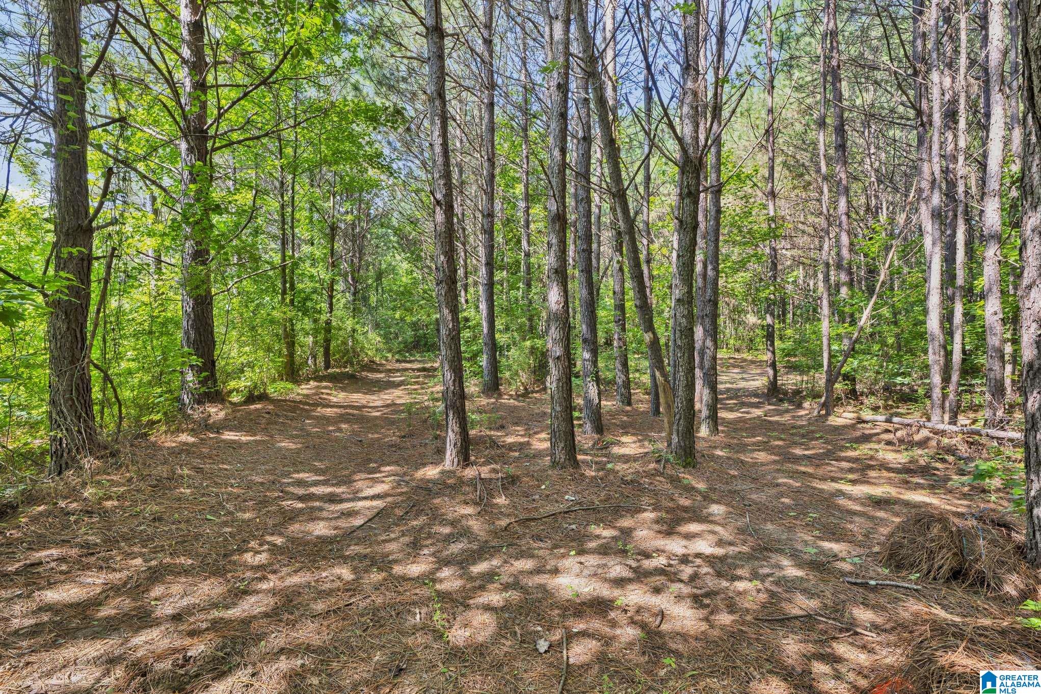 199 Joiner Road Hayden, AL 35079 - Photo 38 of 44