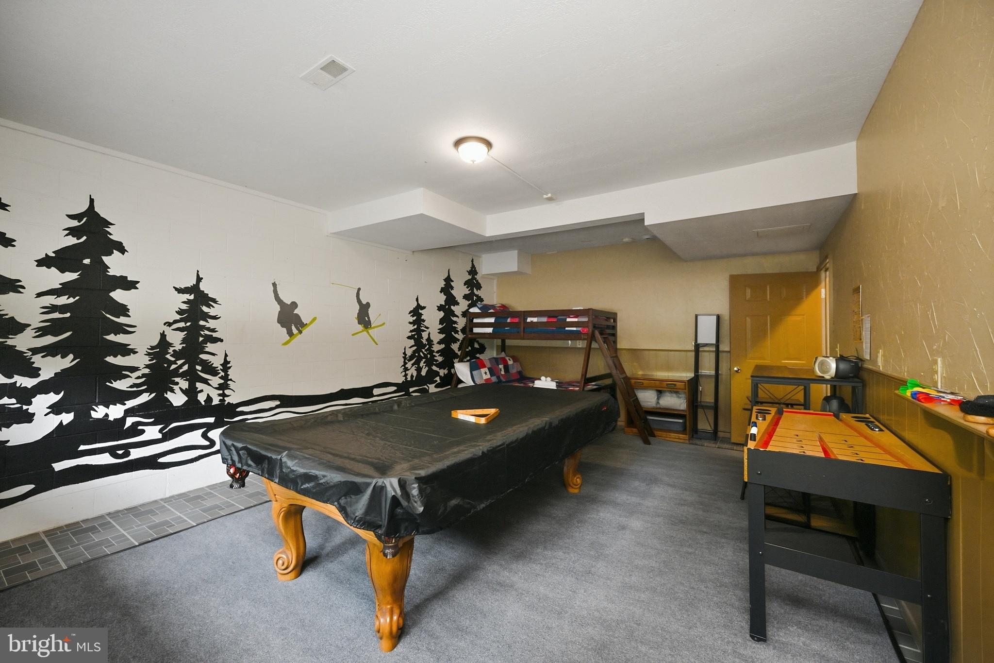330 Slopeside Road Davis, WV 26260 - Photo 39 of 47 Gallery Image 39