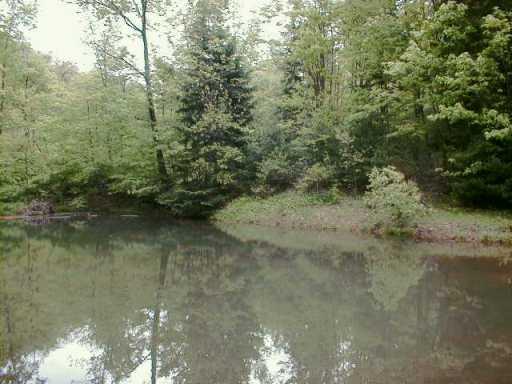 1215 Lower Mateer Road Vandergrift, PA 15690 - Photo 3 of 8 Other.