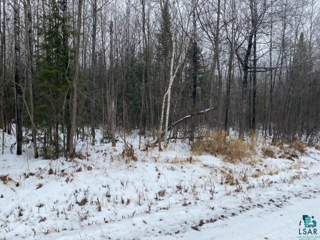 17 Brothers Loop Road Solon Springs, WI 54873 - Photo 2 of 3