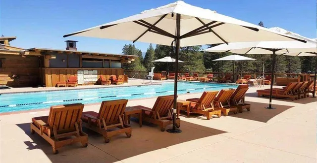 a man sitting in a park with large trees