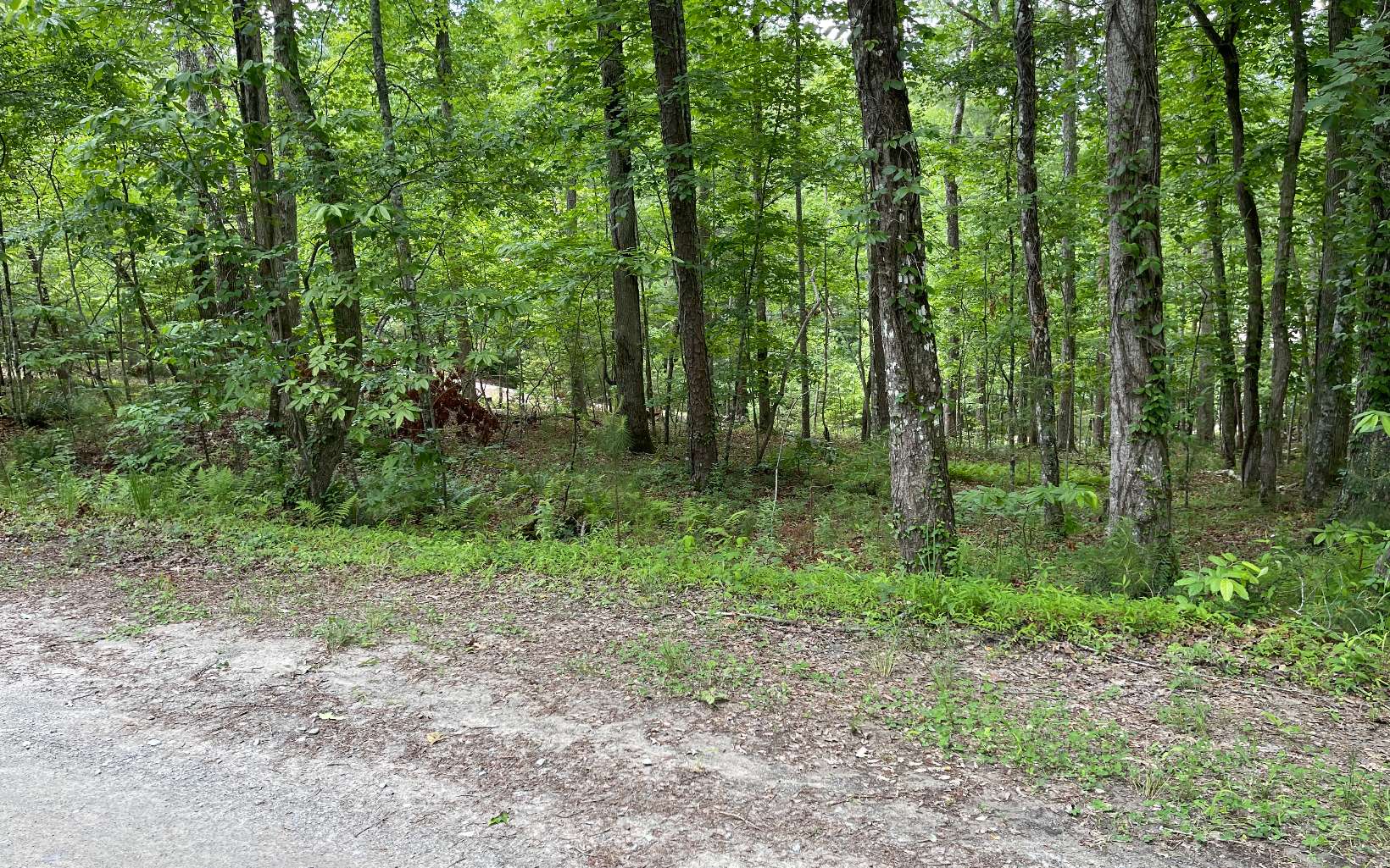 Beacon Point Road Morganton, GA 30560 - Photo 1 of 4 Main View
