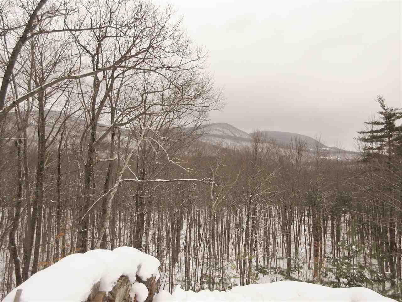 1586 Birch Hill Road Brandon, VT 05733 - Photo 18 of 23