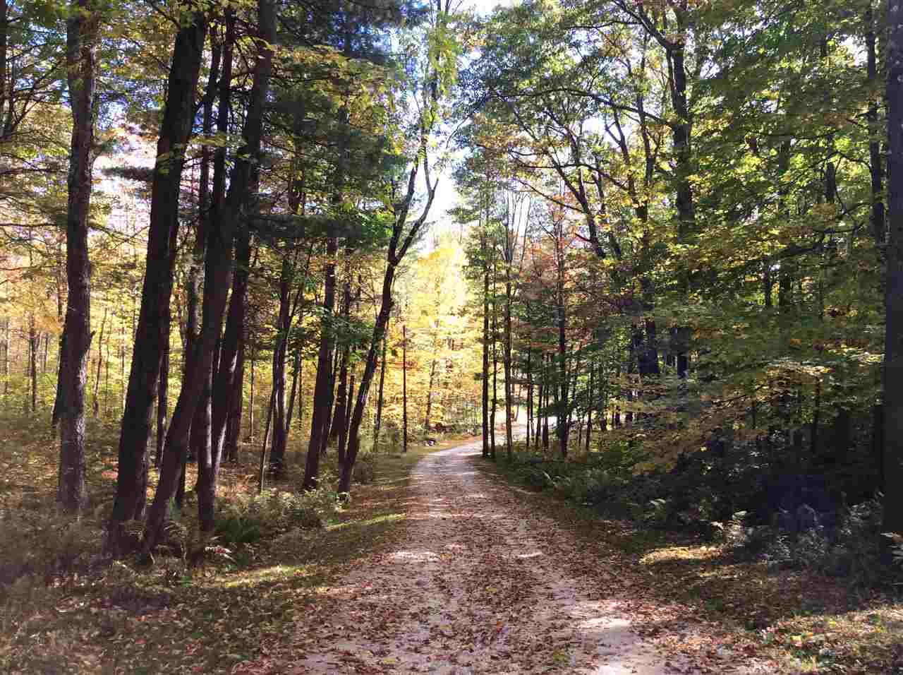 1586 Birch Hill Road Brandon, VT 05733 - Photo 22 of 23