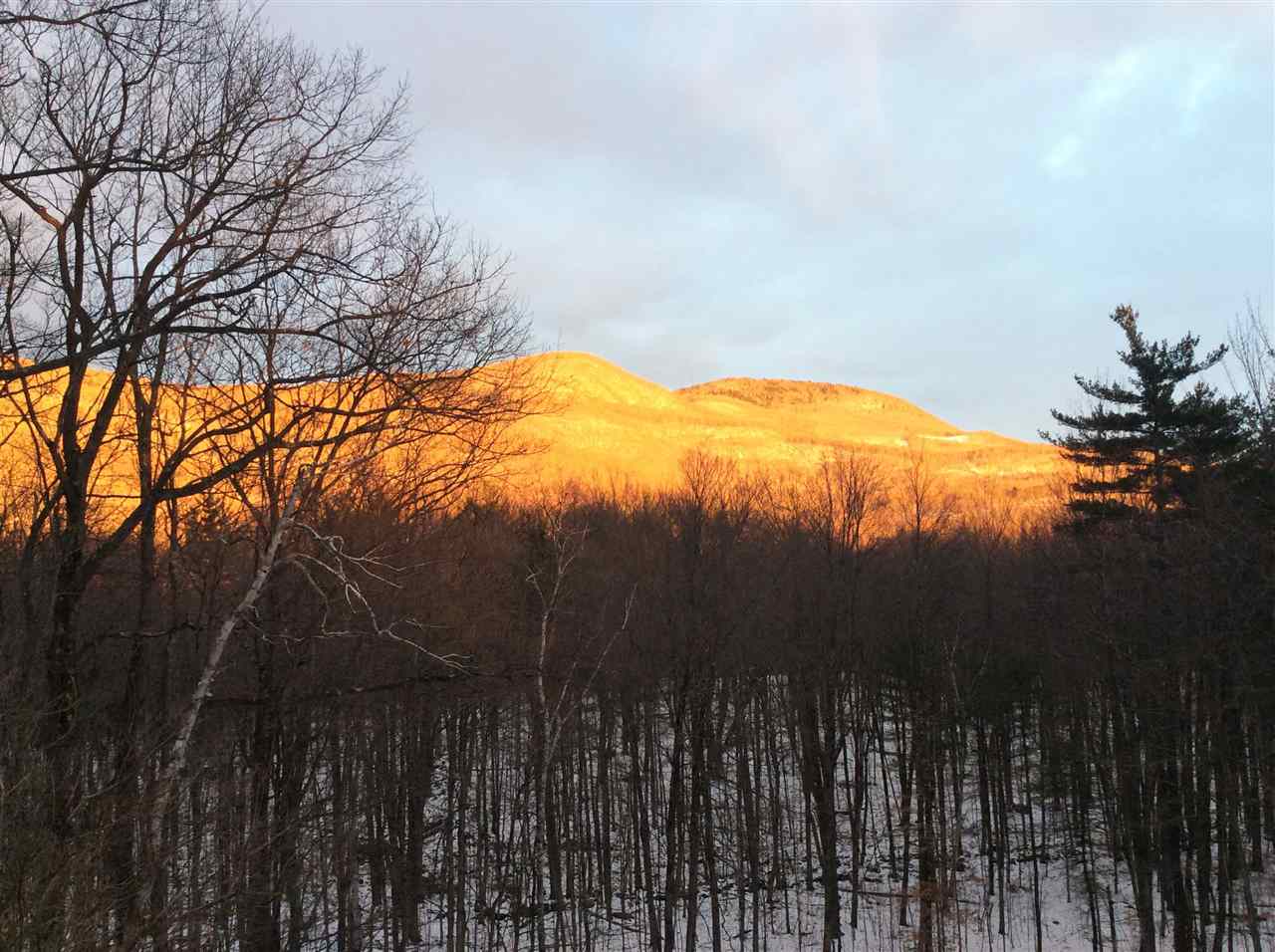 1586 Birch Hill Road Brandon, VT 05733 - Photo 23 of 23