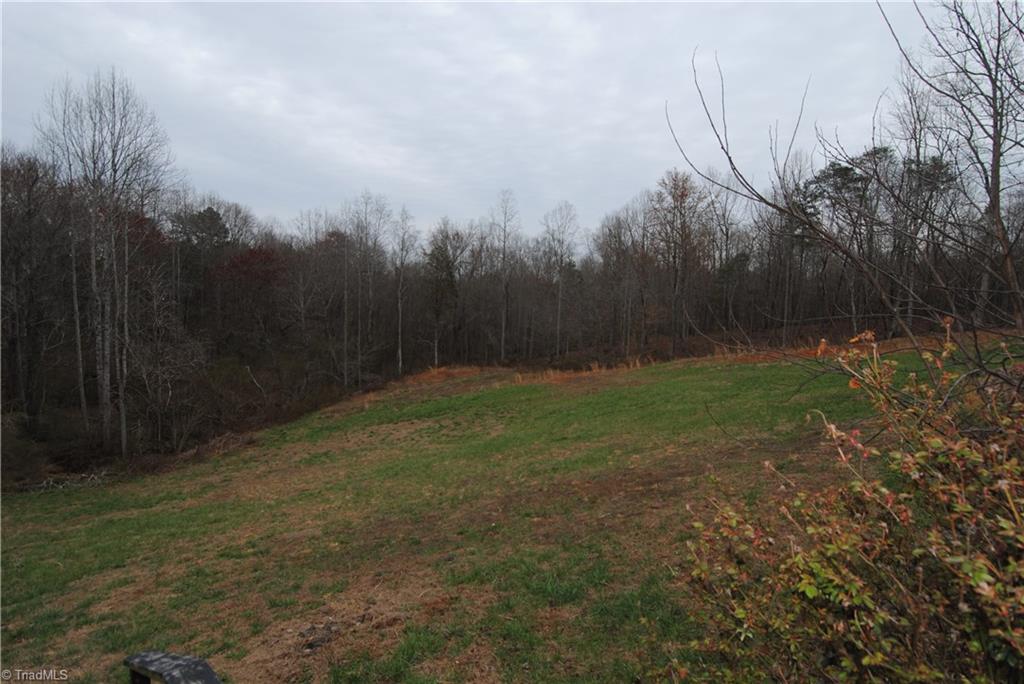 1048 Creekside Way Road Pinnacle, NC 27043 - Photo 24 of 24