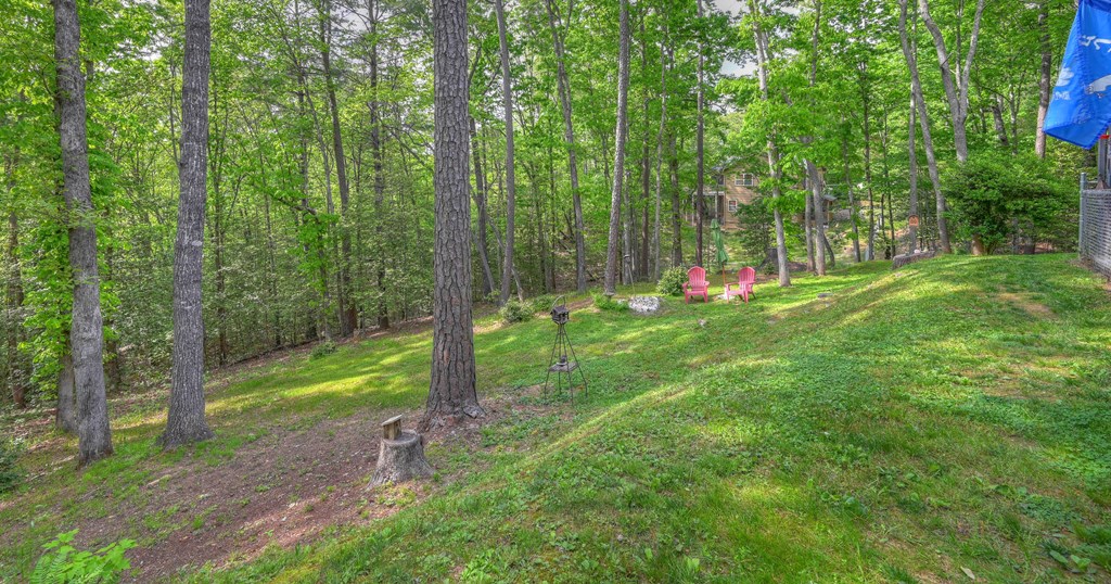 146 Longridge Road Murphy, NC 28906 - Photo 54 of 57