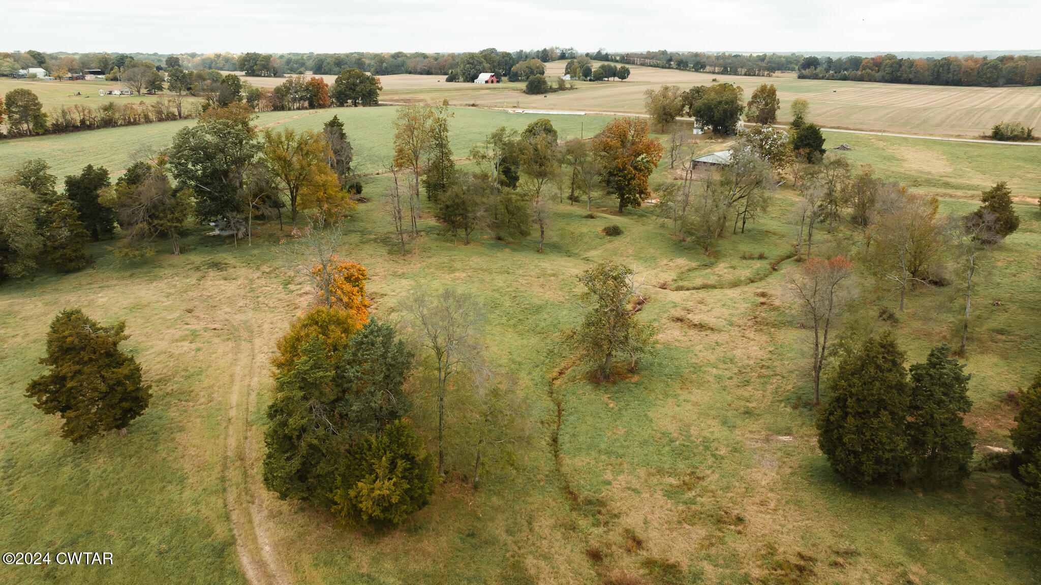 0 Lower Sharon Road Sharon, TN 38255 - Photo 5 of 31 DJI_20241103101318_0009_D