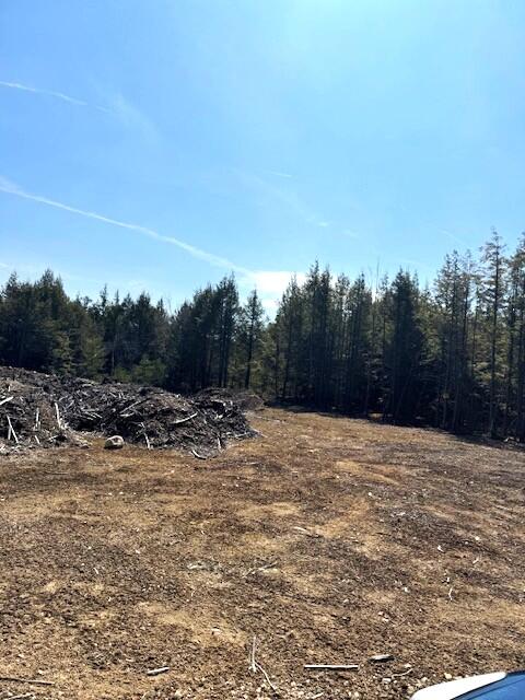 Lot 14 Milk Road Alfred, ME 04002 - Photo 11 of 22