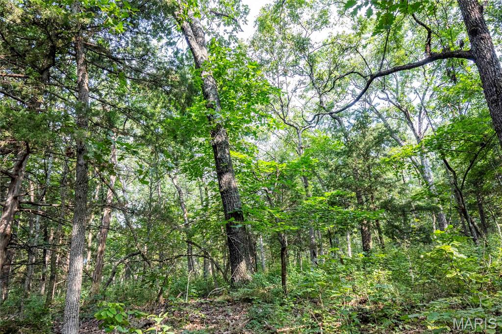 0 Walz Road Hermann, MO 65041 - Photo 24 of 34 Gallery Image 24