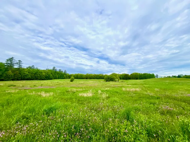 $1,100,000 | 30 Joan Dixon Way, Buxton, ME 04093