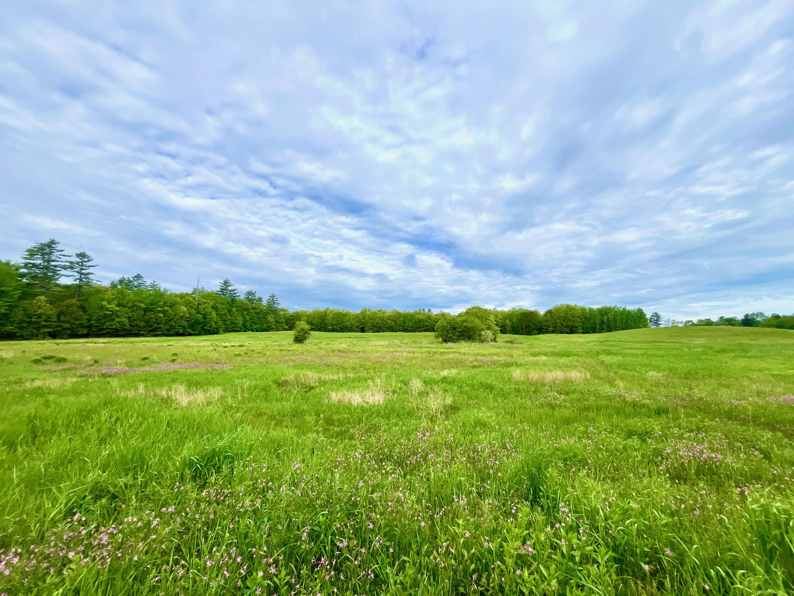 30 Joan Dixon Way Buxton, ME 04093 - Photo 10 of 10 IMG_6162