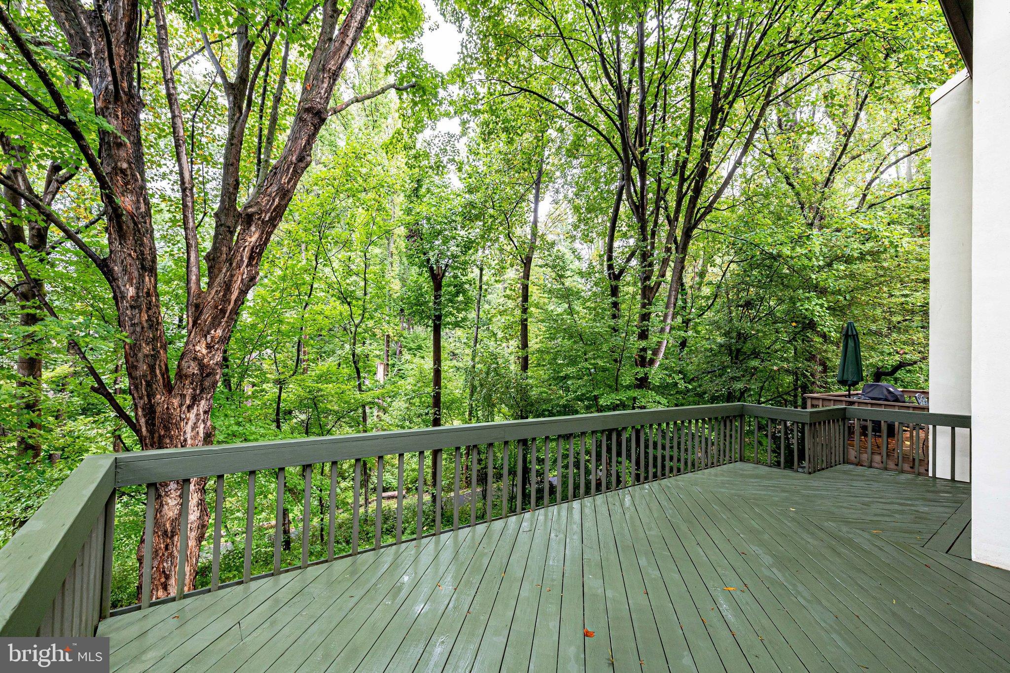 1575 Inlet Court Reston, VA 20190 - Photo 45 of 57 Deck off Dining Room
