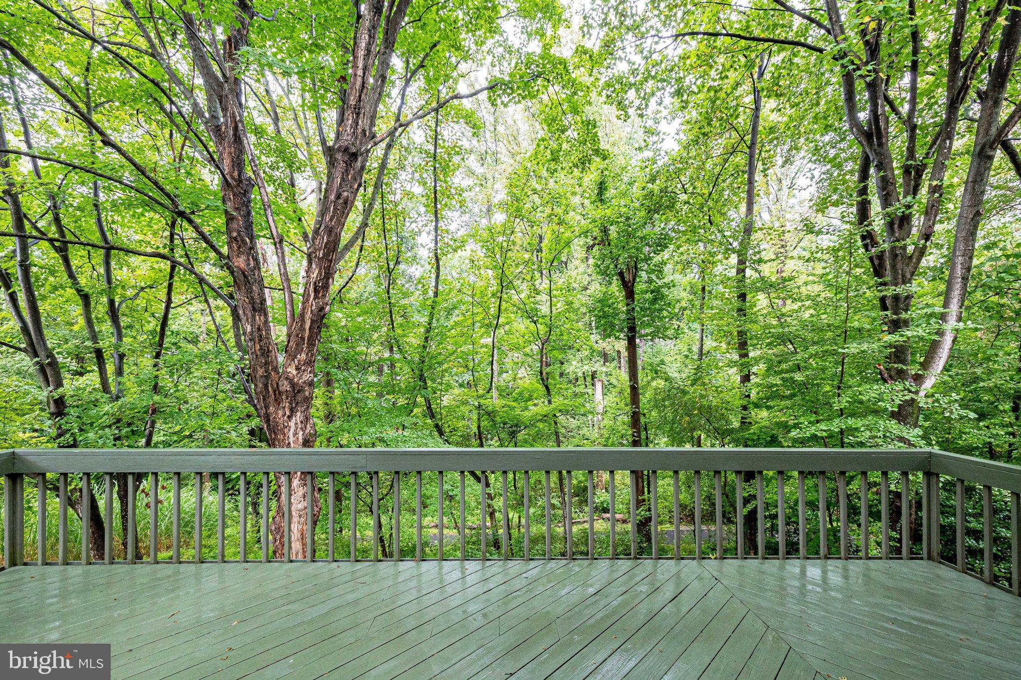1575 Inlet Court Reston, VA 20190 - Photo 46 of 57 Beautiful View from Deck