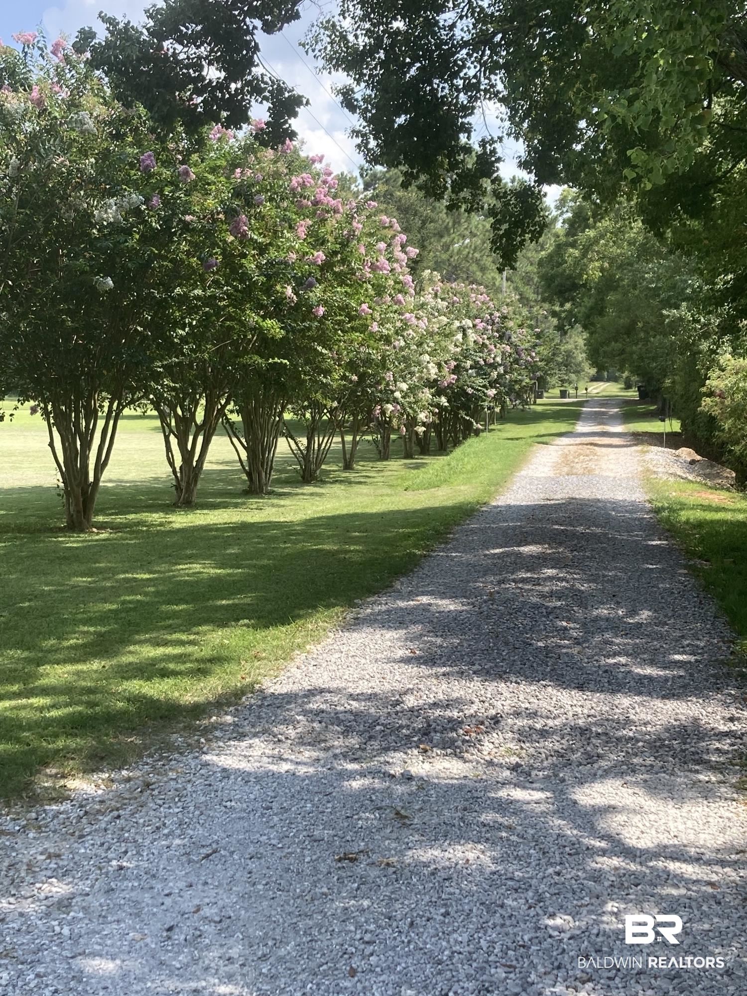 18263 Driskell Road Loxley, AL 36551 - Photo 50 of 50 40 Crape Murtle trees