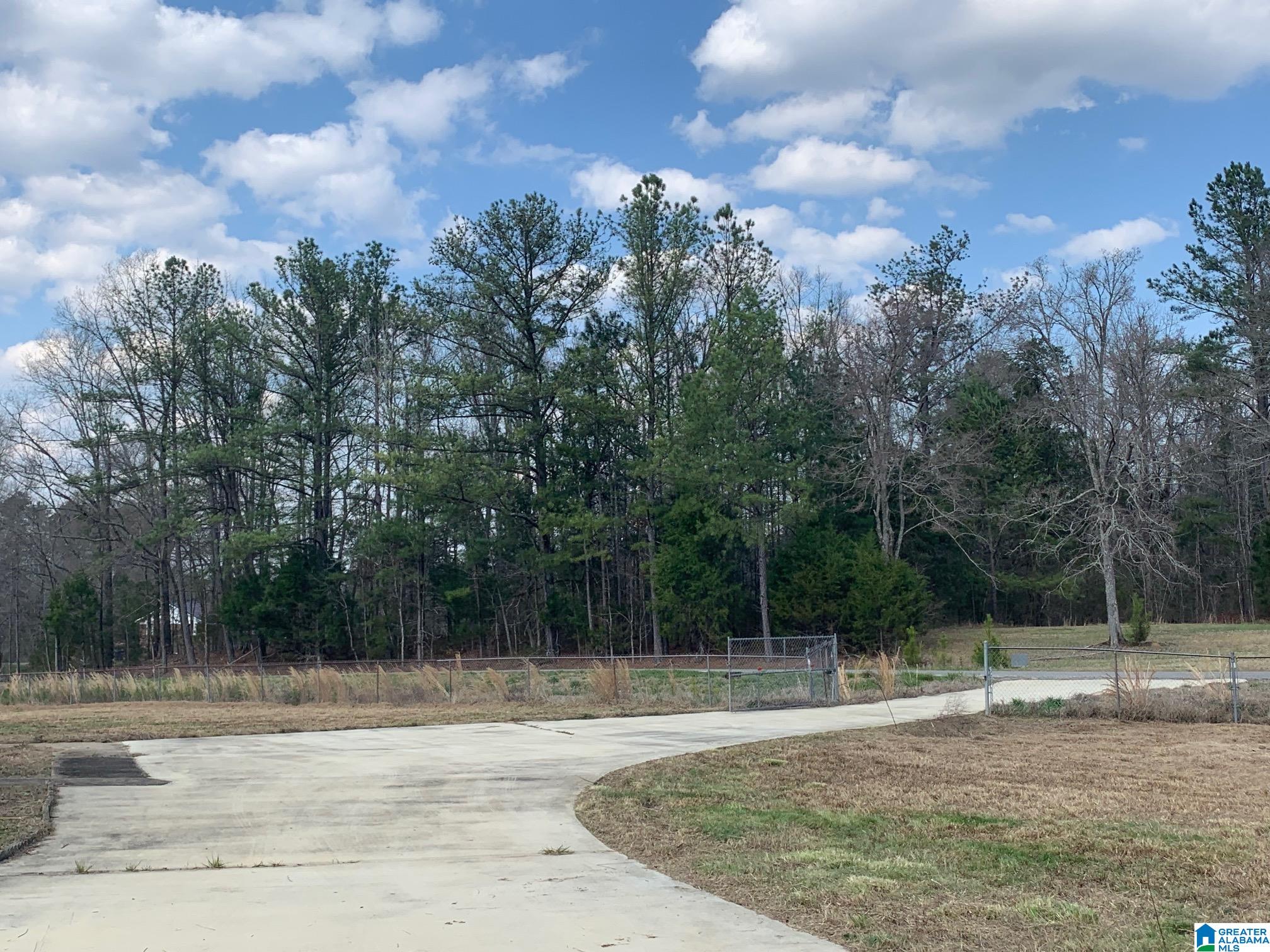 78 Middleton Road South Ohatchee, AL 36271 - Photo 2 of 31