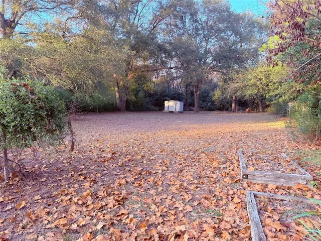 a view of a house with a large tree and a yard