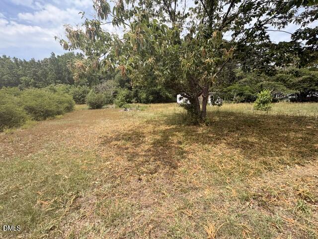 920 Cheves Road Zebulon, NC 27597 - Photo 4 of 9