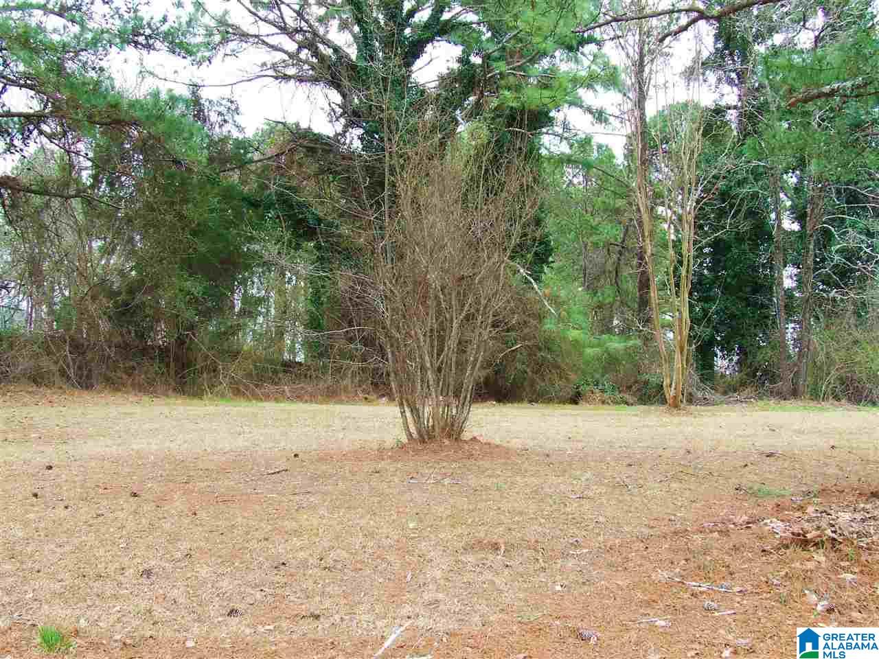 5507 South Shades Crest Road, Unit 1AC Bessemer, AL 35022 - Photo 5 of 12 Gallery Image 5