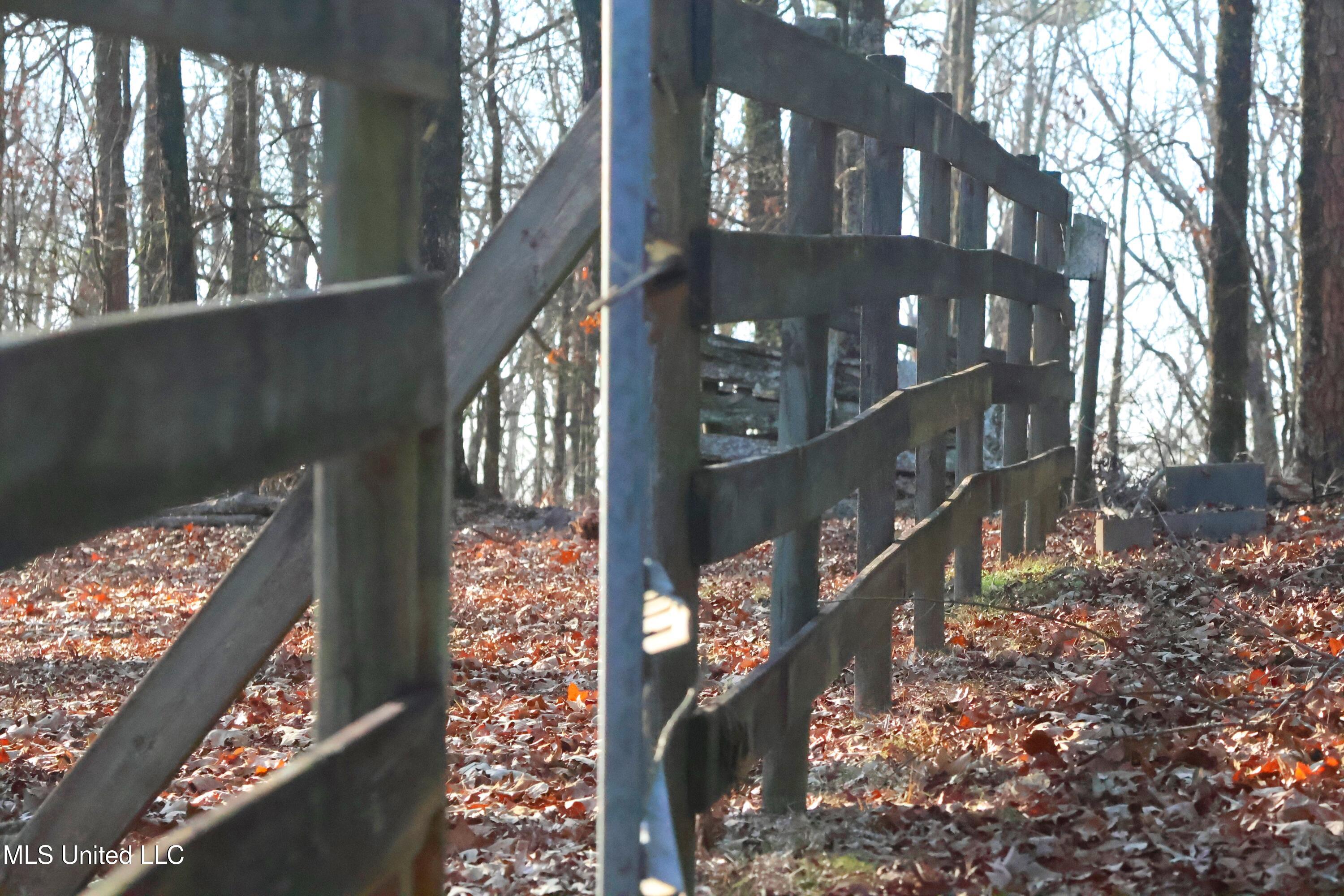 715 Wagner Street Water Valley, MS 38965 - Photo 28 of 30 IMG_0718