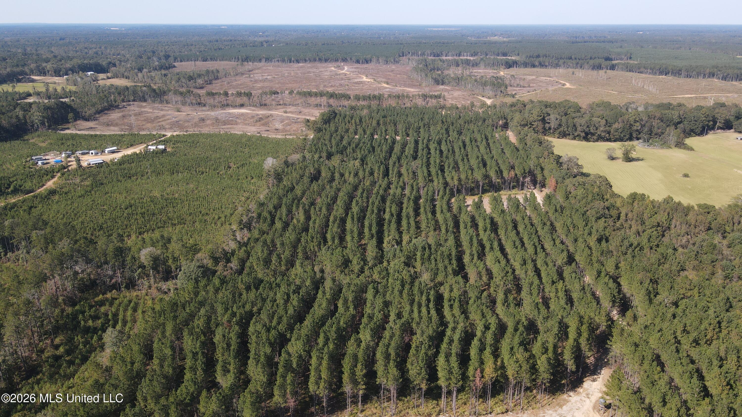 Loyd Irby Road Pelahatchie, MS 39145 - Photo 1 of 30 DJI_0205