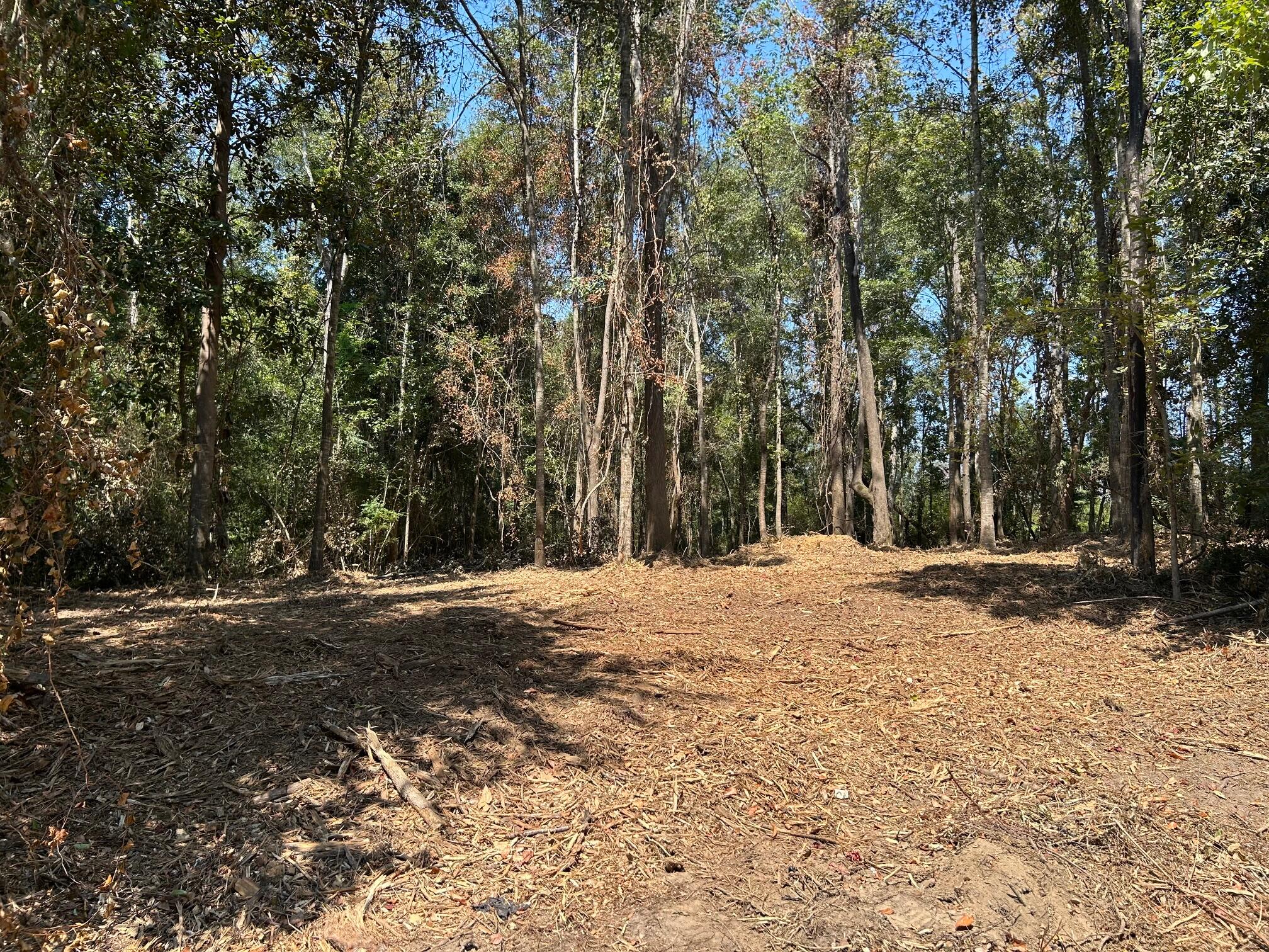 0 Piatonia Road Lumberton, MS 39455 - Photo 1 of 1 IMG_1506