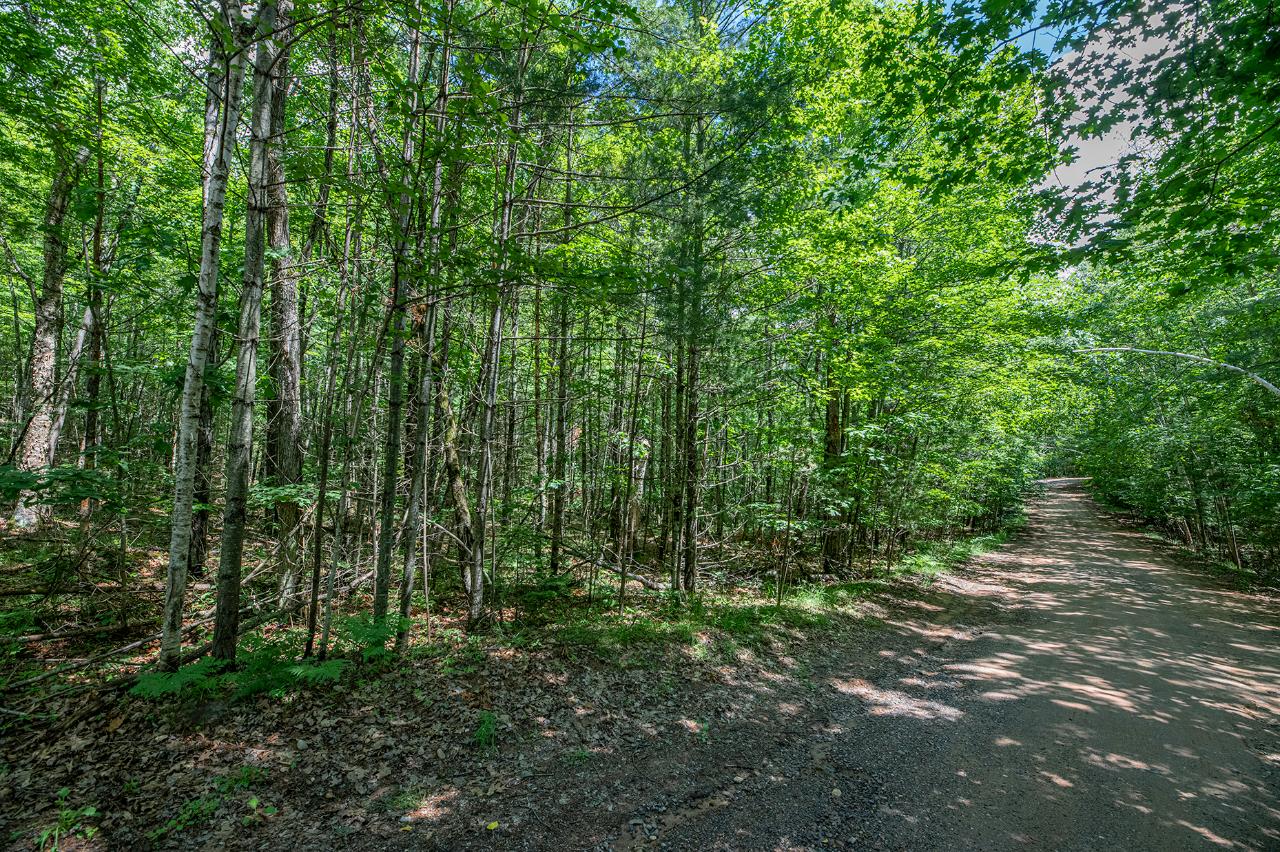 Off East Bass Lake Road Eagle River, WI 54521 - Photo 1 of 16 Gallery Image 1
