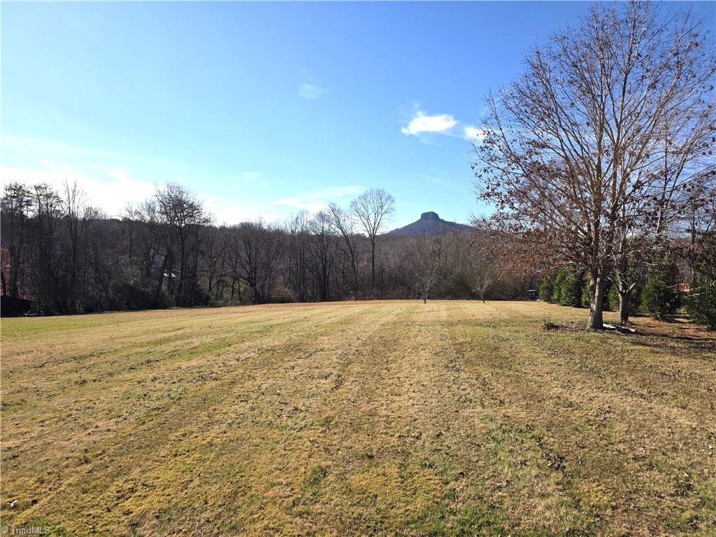 1545 Bradley Road Pinnacle, NC 27043 - Photo 18 of 20 Gallery Image 18