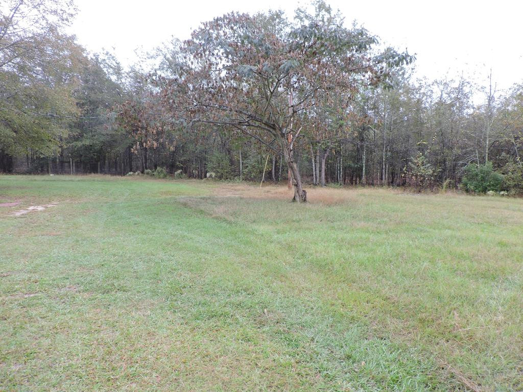 0 Redwood Road Barnwell, SC 29812 - Photo 1 of 1