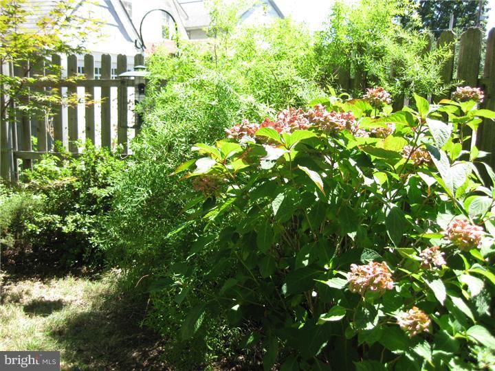 2914 Morris Road Ardmore, PA 19003 - Photo 22 of 22 View in Back