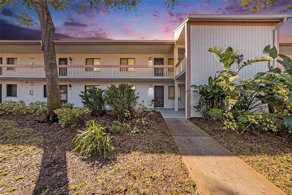 141 Lakeview Way, Unit 141 Oldsmar, FL 34677 - Photo 1 of 28 a front view of a house with a yard
