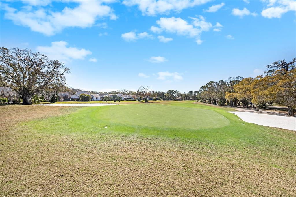 141 Lakeview Way, Unit 141 Oldsmar, FL 34677 - Photo 4 of 28 a view of an ocean and beach
