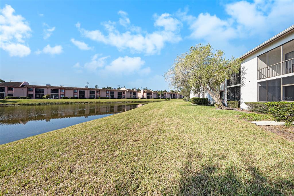 141 Lakeview Way, Unit 141 Oldsmar, FL 34677 - Photo 5 of 28 a view of a lake with houses in the back