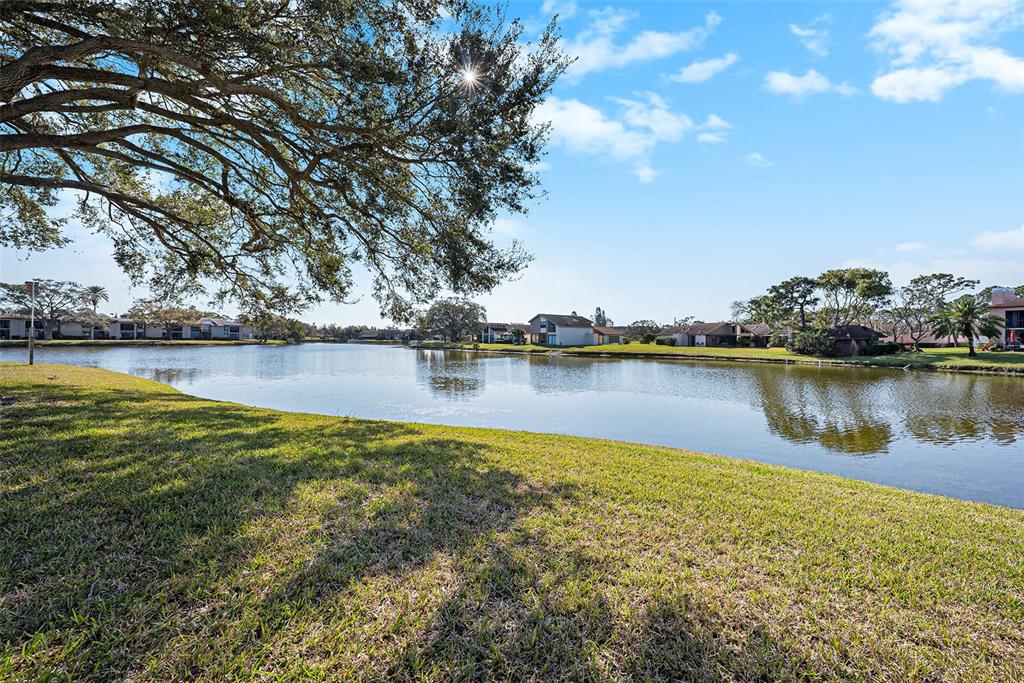 141 Lakeview Way, Unit 141 Oldsmar, FL 34677 - Photo 9 of 28 a view of a lake with houses in the back