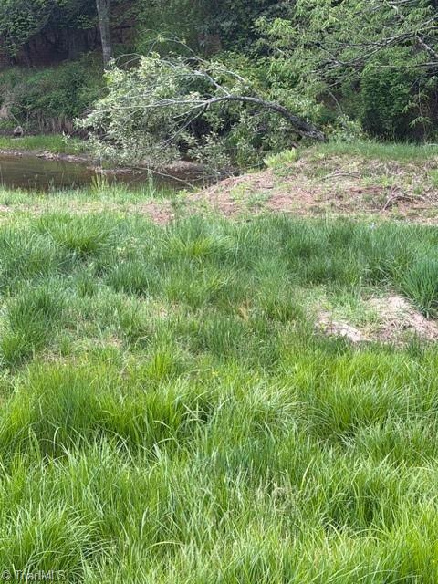 Tbd Fraser Road Sparta, NC 28675 - Photo 14 of 19