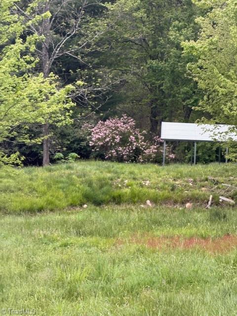 Tbd Fraser Road Sparta, NC 28675 - Photo 2 of 19
