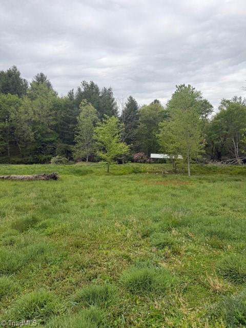 Tbd Fraser Road Sparta, NC 28675 - Photo 6 of 19