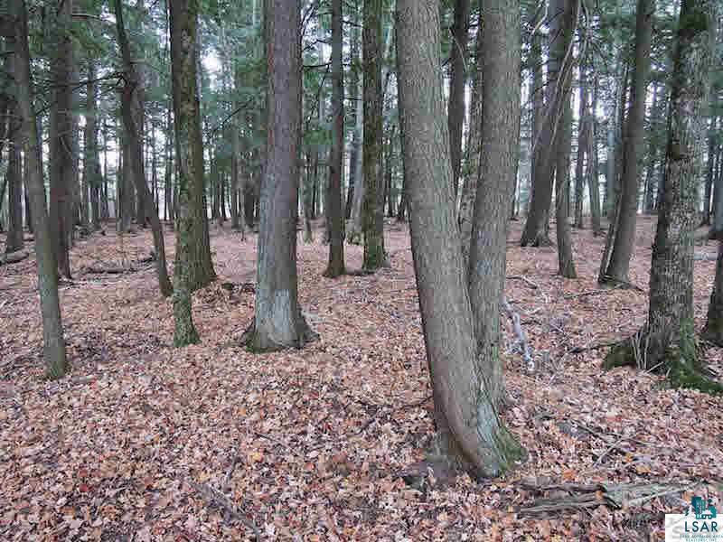 33020 Ridge Road Bayfield, WI 54814 - Photo 1 of 25 Gallery Image 1