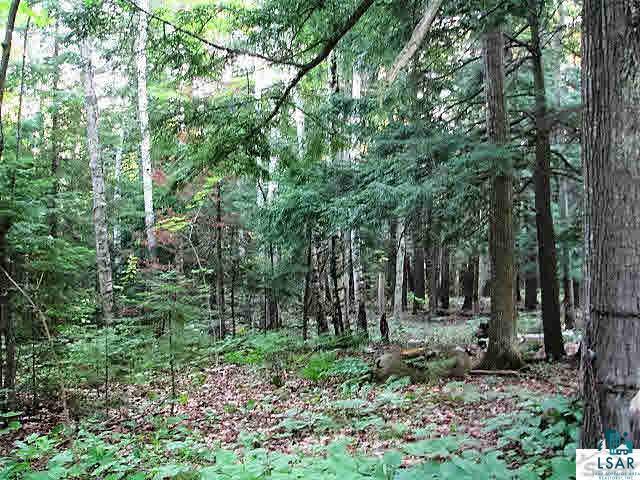 33020 Ridge Road Bayfield, WI 54814 - Photo 14 of 25 Gallery Image 14