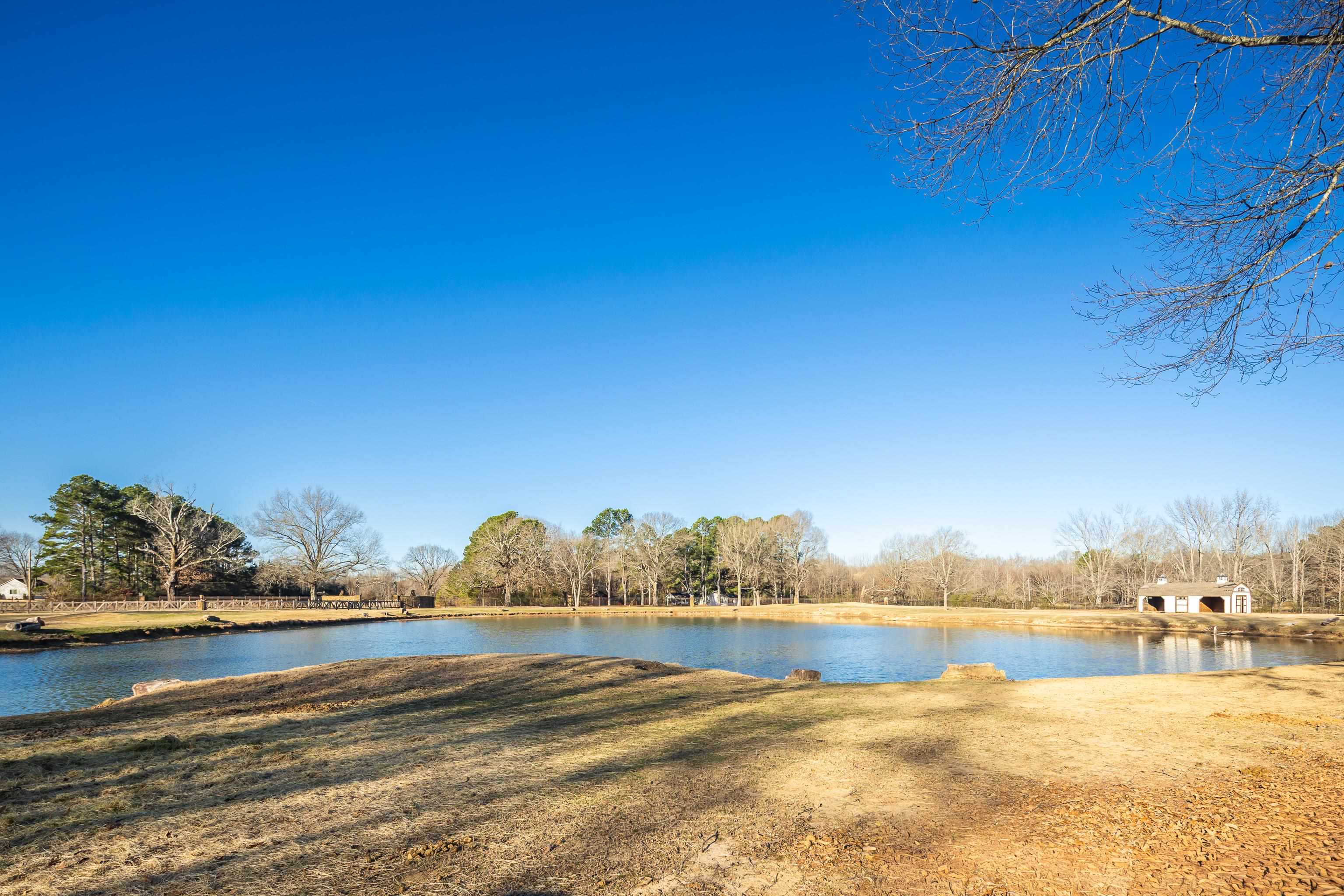 5110 Reynolds Road Collierville, TN 38017 - Photo 30 of 40 Water view