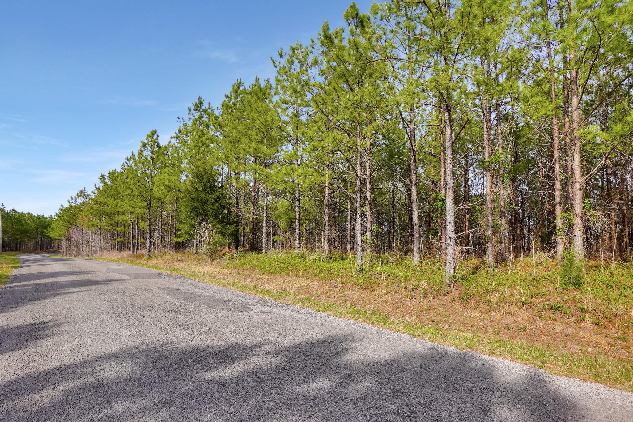 15 Ribbon Branch Road Dover, TN 37058 - Photo 8 of 13 Gallery Image 8